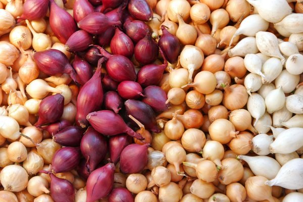 Кракен войти на сайт