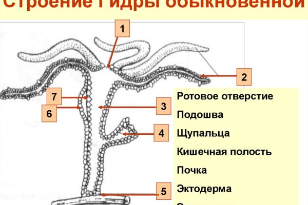 Кракен kr2web in сайт официальный