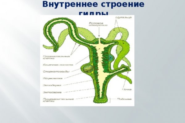 Kra9.at