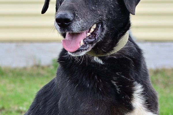 Кракен сайт 14