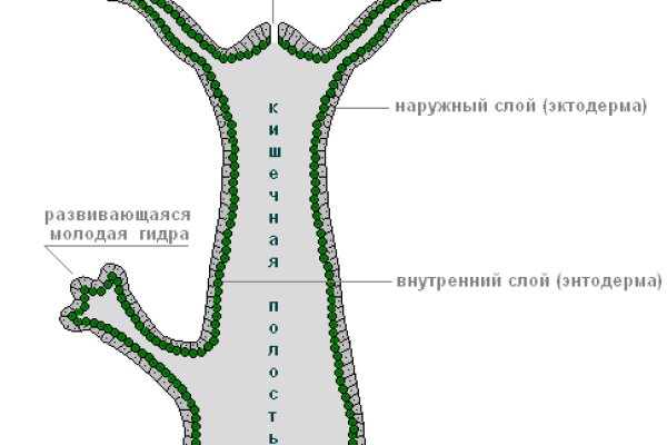 Ссылка кракен зеркало тор